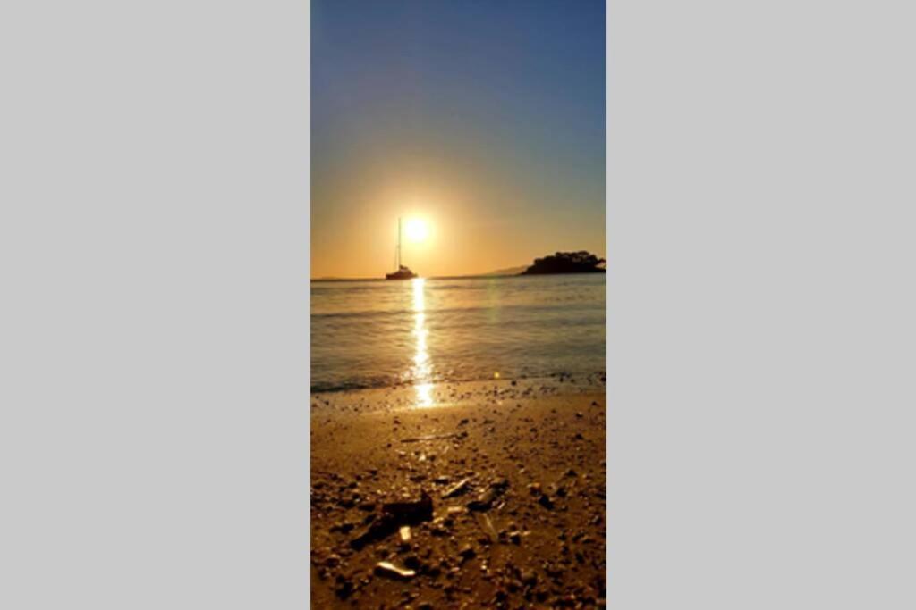 Face Mer Entre Plage Et Marina ボルム・レ・ミモザ エクステリア 写真