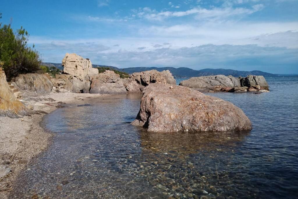 Face Mer Entre Plage Et Marina ボルム・レ・ミモザ エクステリア 写真